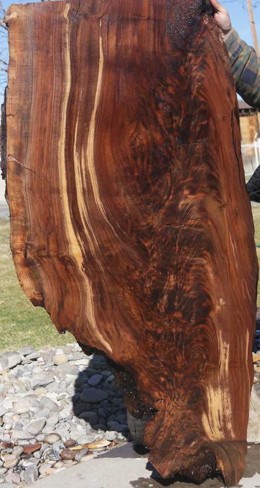 Claro Walnut Slab