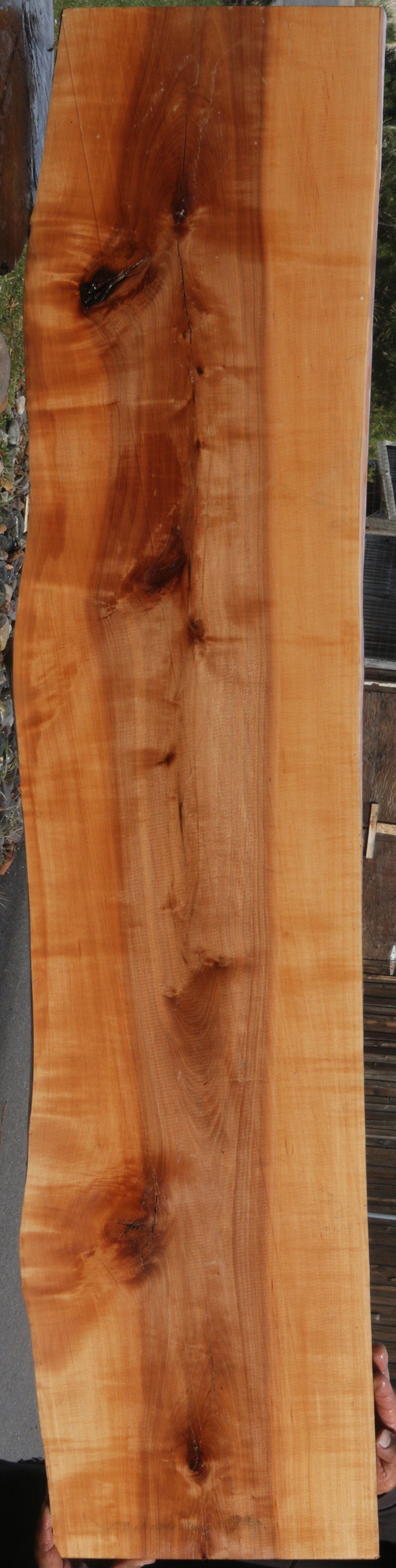 Swiss Pear Live Edge Lumber – Cook Woods