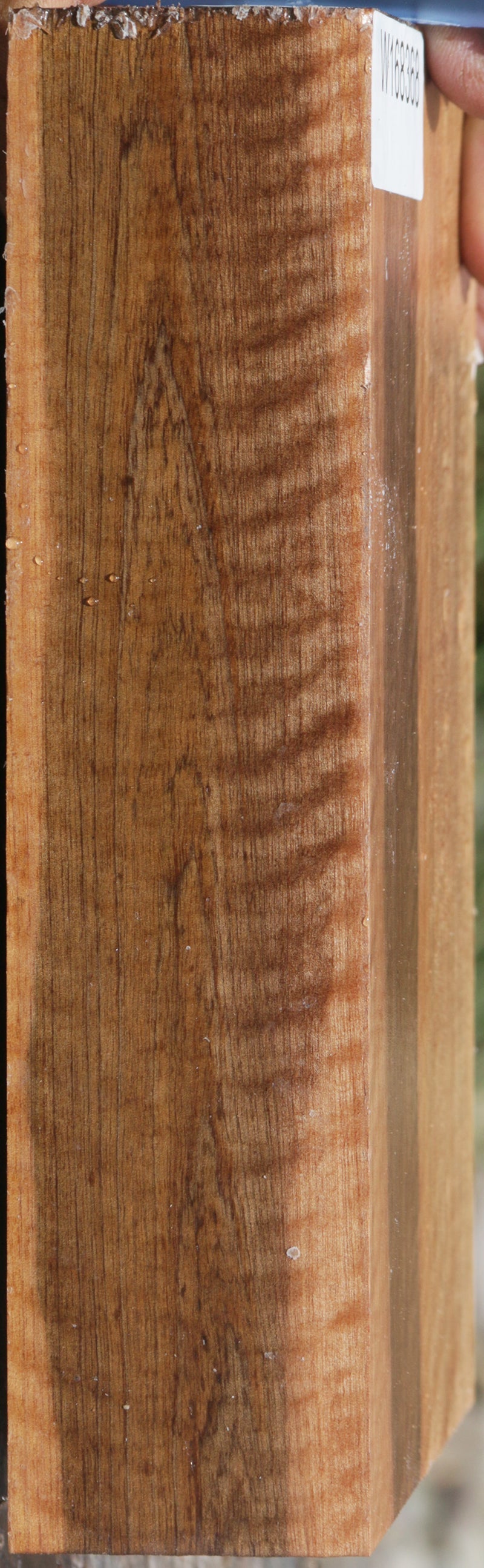 Figured Curly Asian Satinwood Lumber