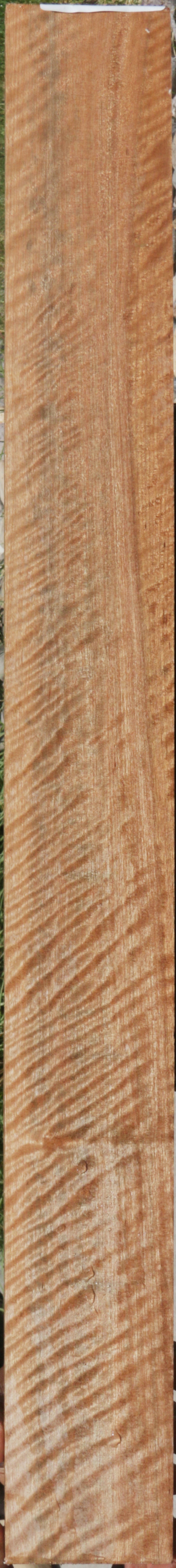 Exhibition Curly Asian Satinwood Lumber