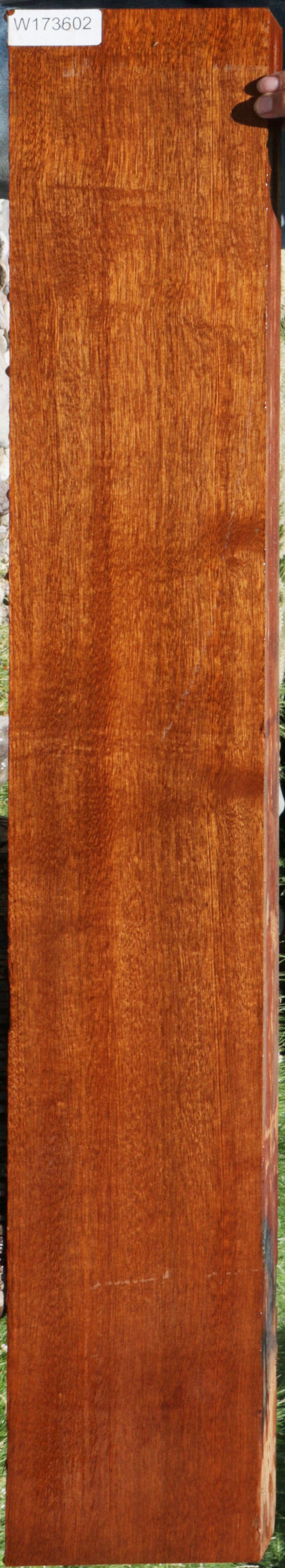 Sapele Lumber