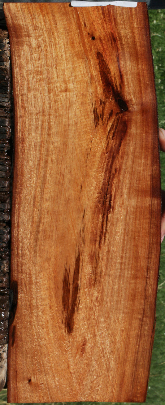 Figured Hawaiian Koa Live Edge Micro Lumber