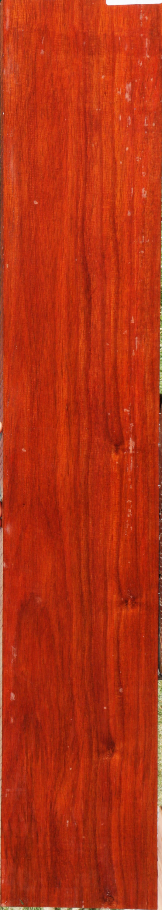 Padauk Lumber