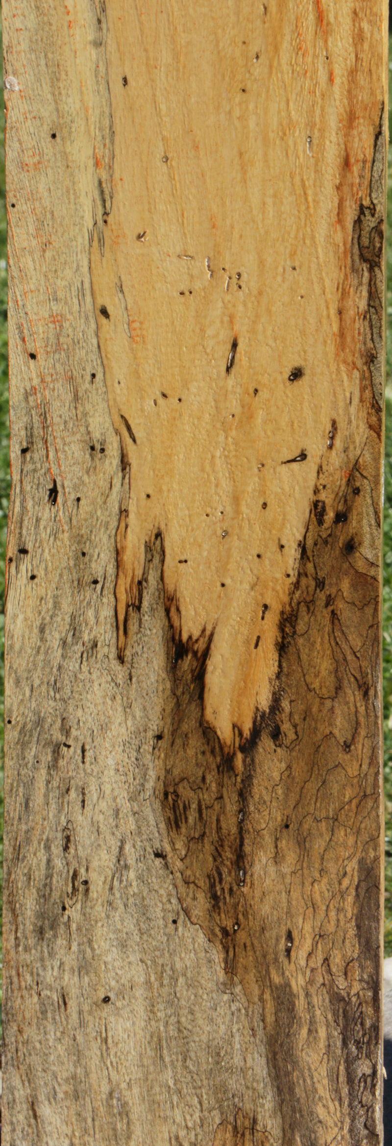 Figured Spalted Tamarind Lumber