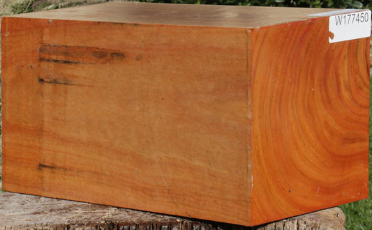 Red Ironbark Vessel Blank