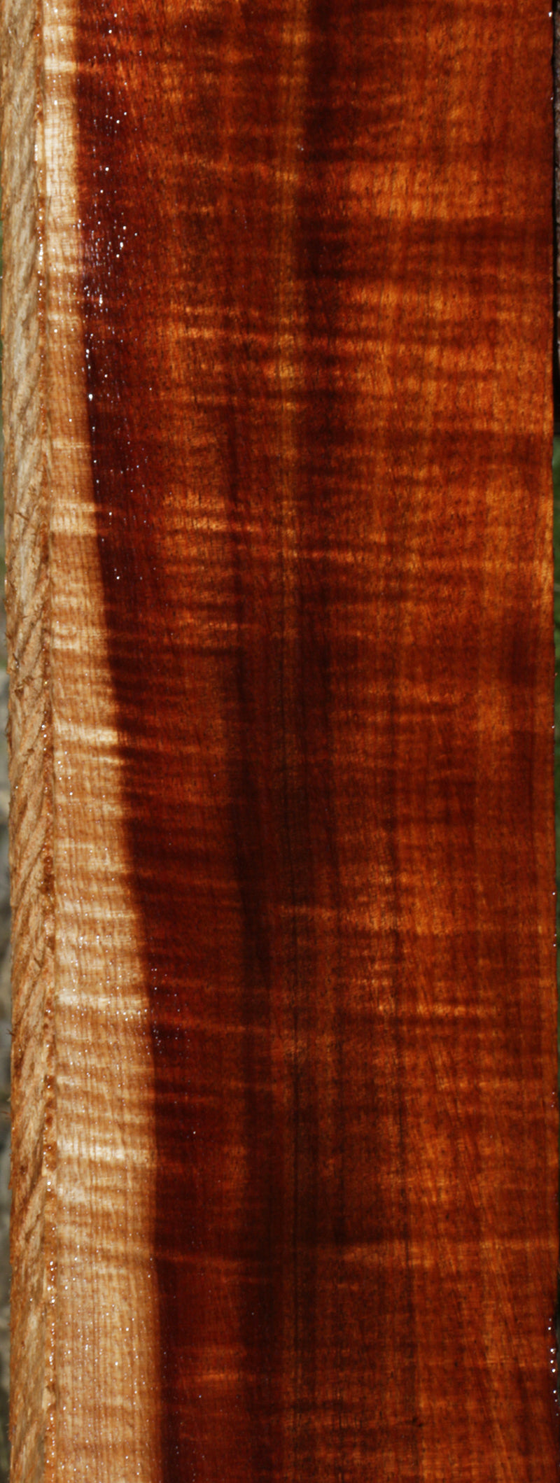 Exhibition Curly Hawaiian Koa Lumber – Cook Woods