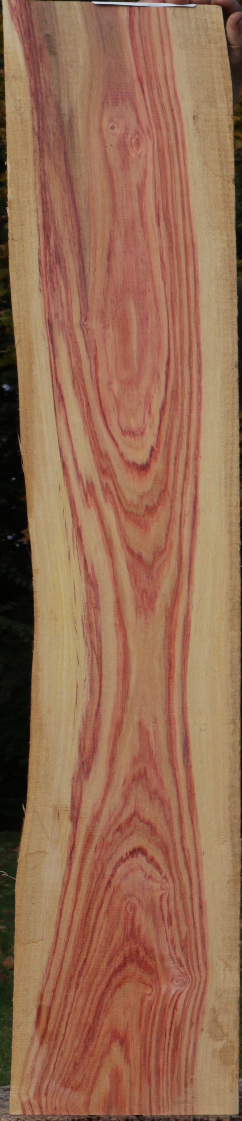 Live Edge Tulipwood Lumber