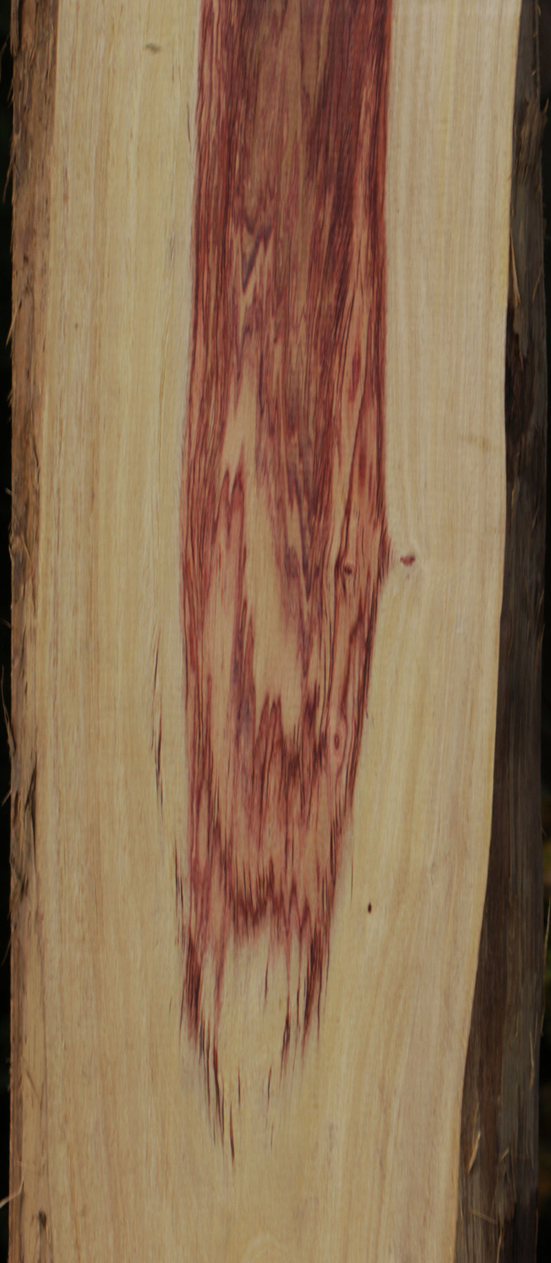 Live Edge Tulipwood Lumber