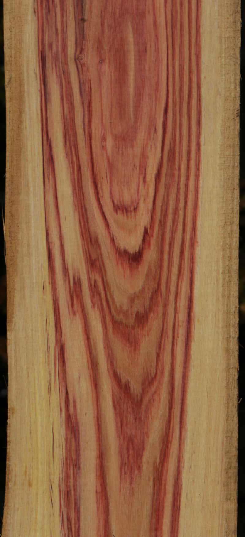 Live Edge Tulipwood Lumber