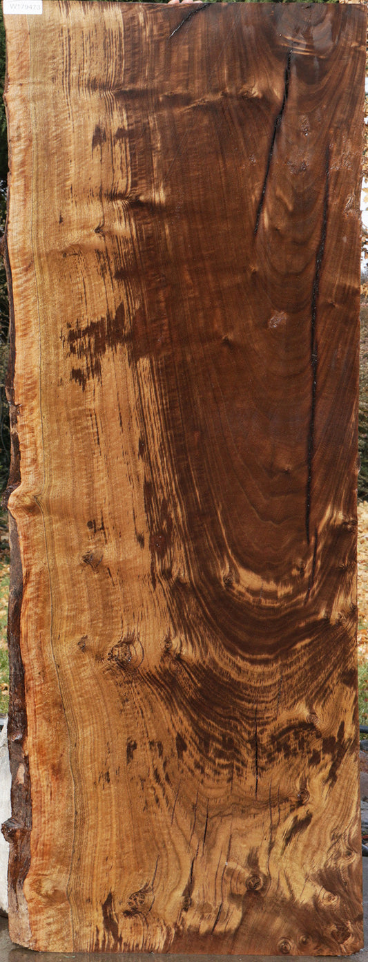 Rustic Claro Walnut Slab (Freight Shipping Required)