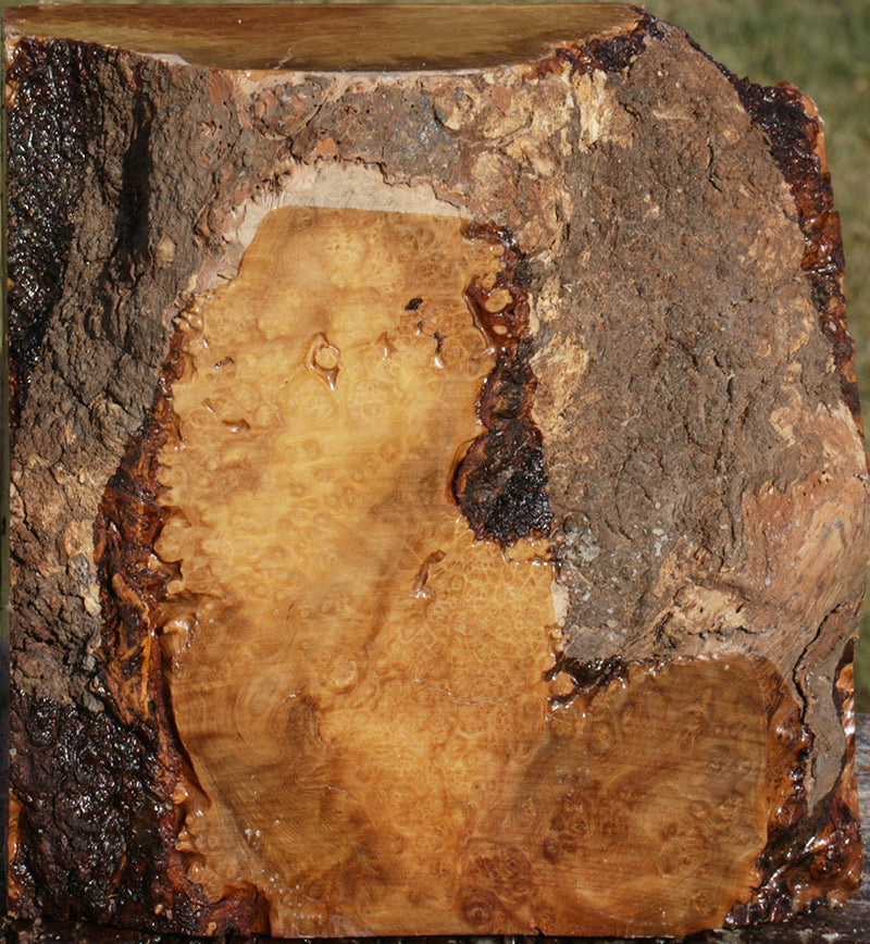 Exhibition Kanista Live Edge Bowl Blank