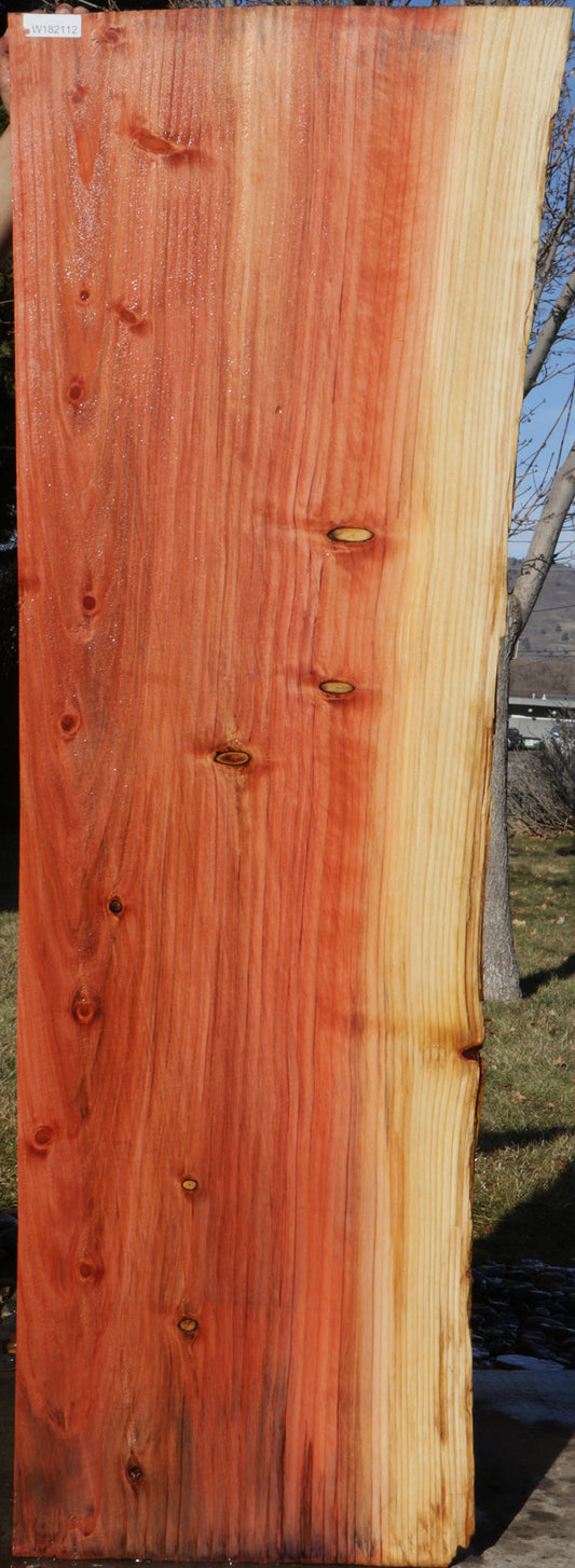 Sequoia Live Edge Slab (Freight Shipping Required)