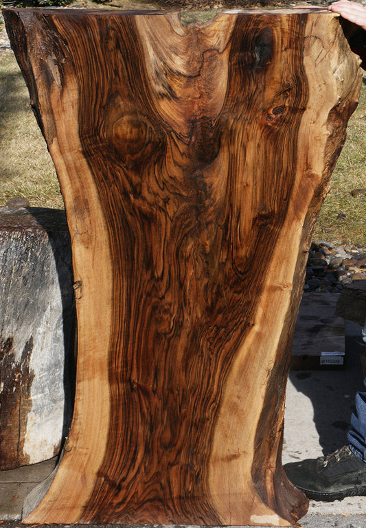 Extra Fancy Rustic Claro Walnut Live Edge Slab (Freight Shipping Required)