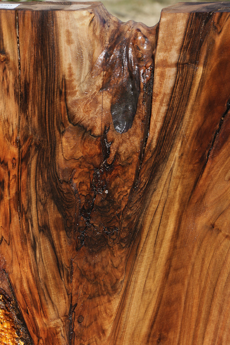 Extra Fancy Rustic Claro Walnut Live Edge Slab (Freight Shipping Required)