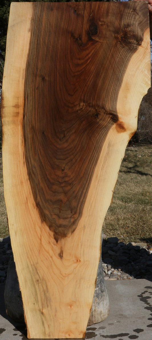 Rustic Claro Walnut Live Edge Slab (Freight Shipping Required)