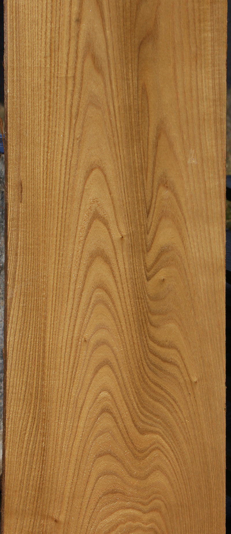 Catalpa Lumber