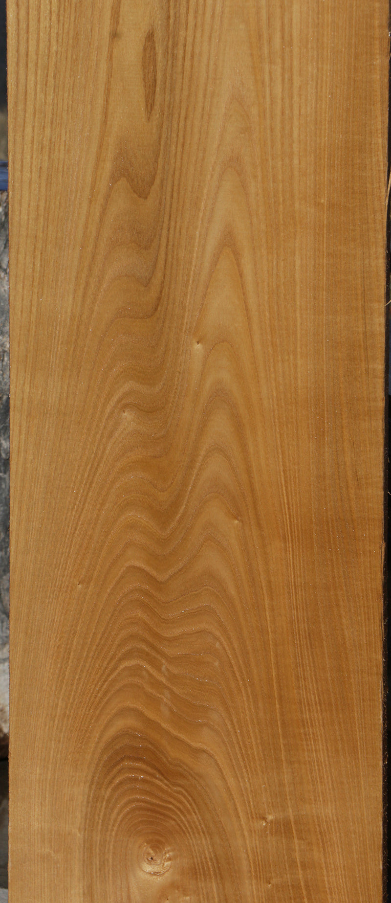 Catalpa Lumber