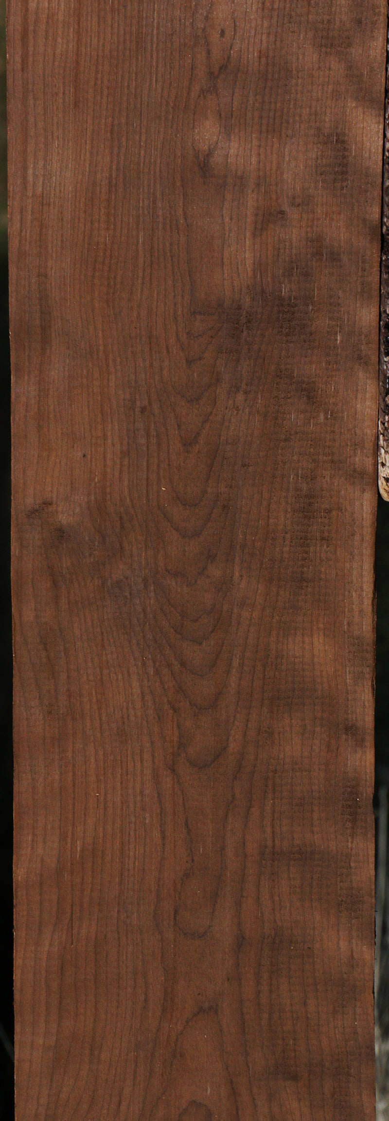 Figured Caramelized Birch Lumber