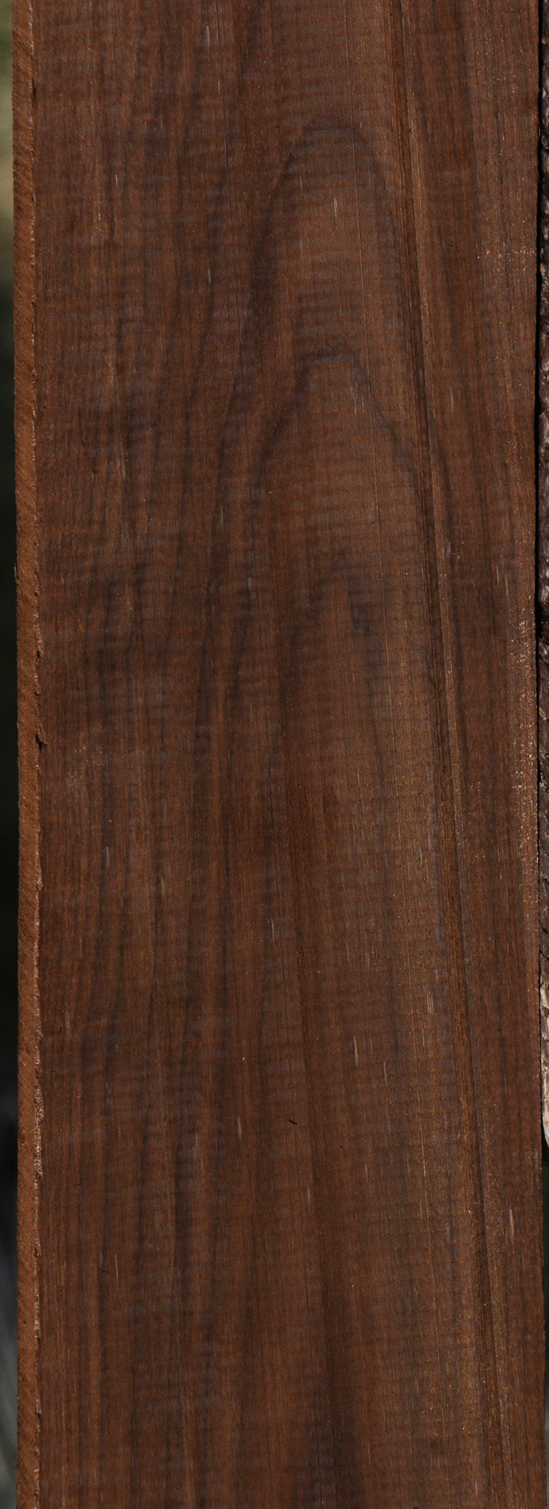 Figured Caramelized Birch Lumber