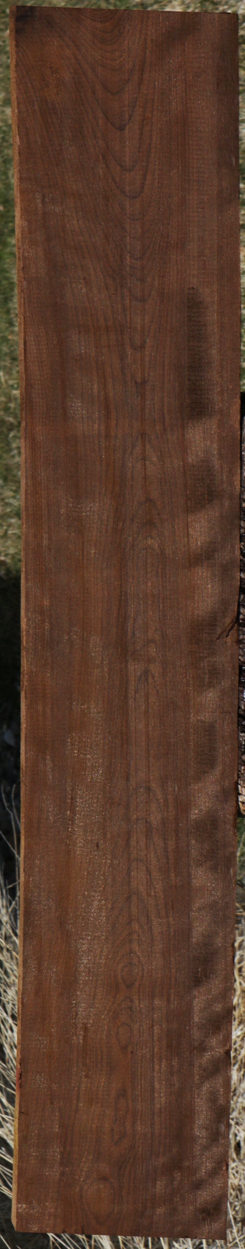 Figured Caramelized Birch Lumber