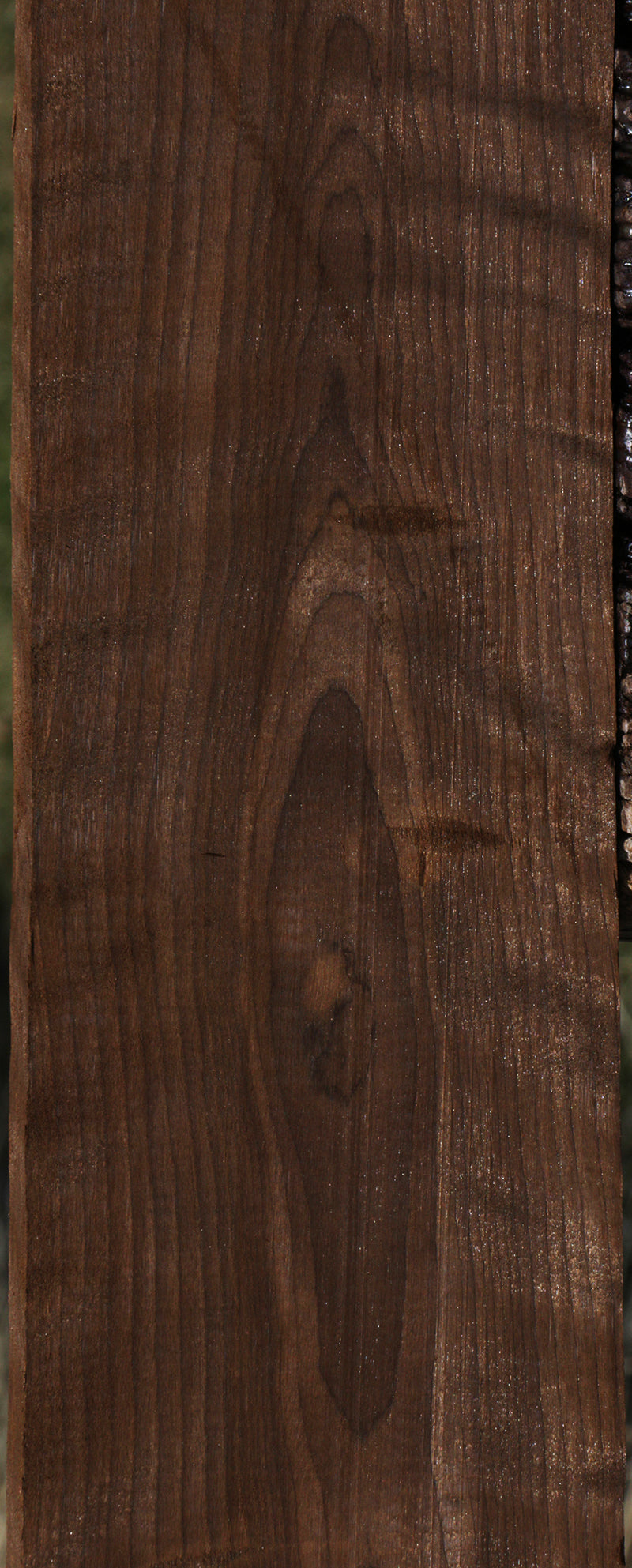 Extra Fancy Figured Caramelized Birch Lumber