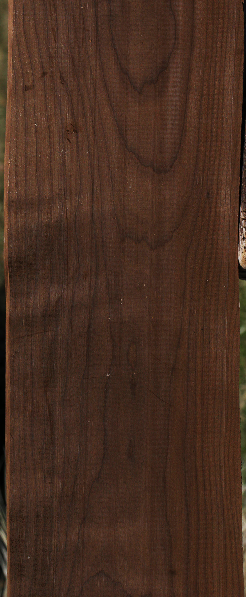 Extra Fancy Figured Caramelized Birch Lumber