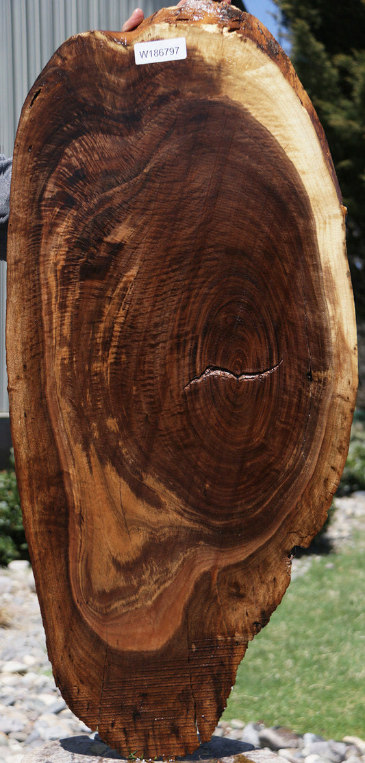 Extra Fancy Rustic Claro Walnut Live Edge Cookie