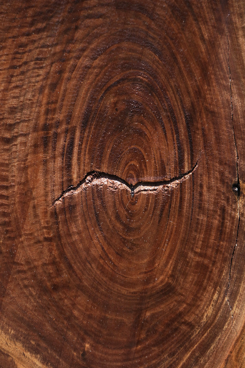 Extra Fancy Rustic Claro Walnut Live Edge Slab (Freight Shipping Requi –  Cook Woods