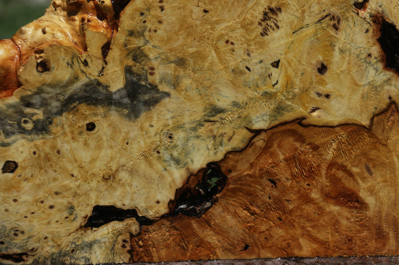 Good Small Buckeye Burl Natural Edge Box (BX 1073)