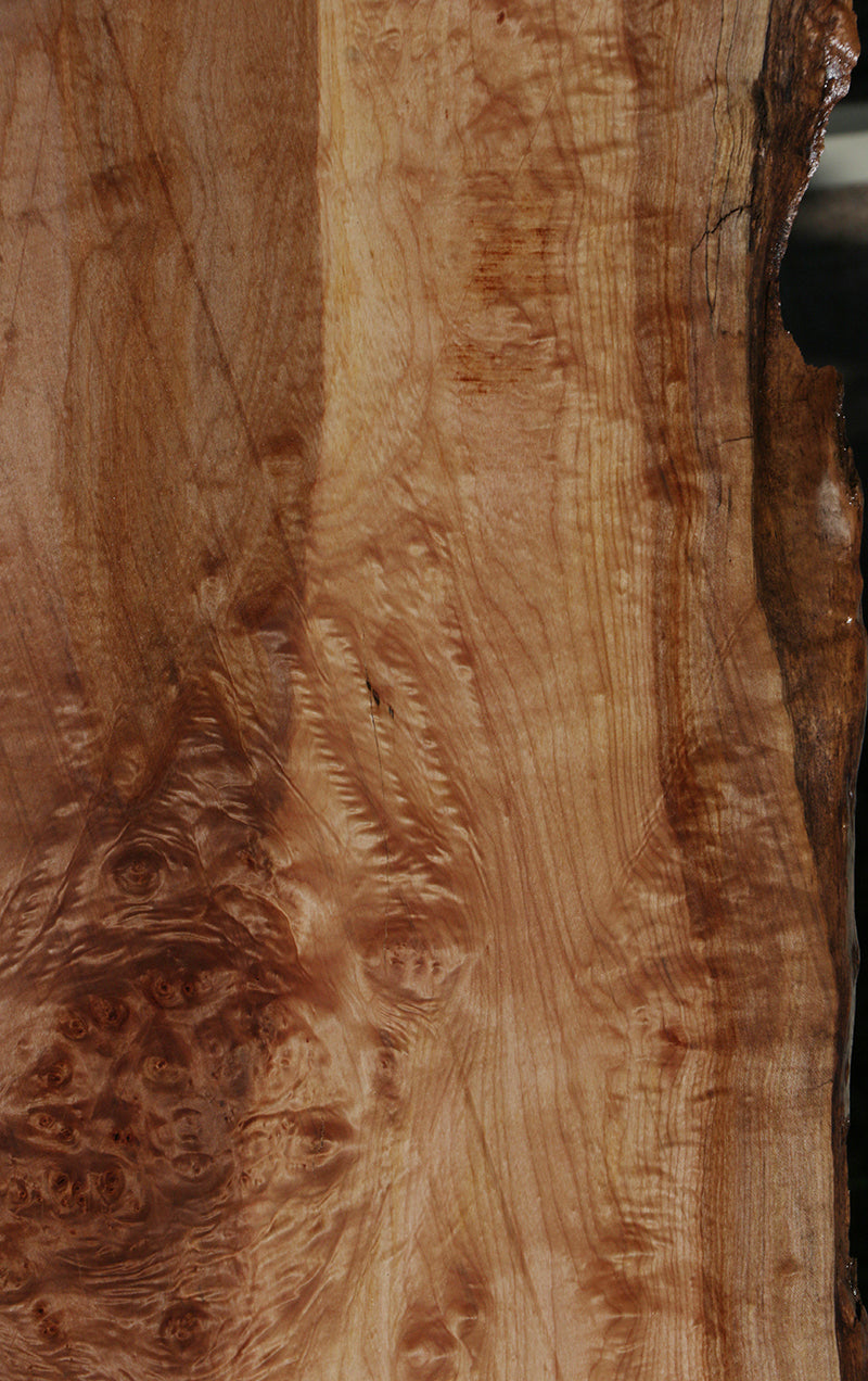 Home Page - Live edge wood slabs and burls - Berkshire Products
