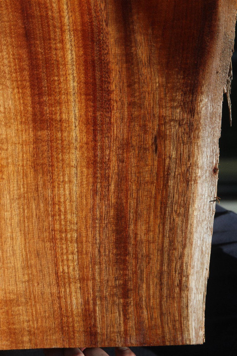 Guitar wood for sale sales