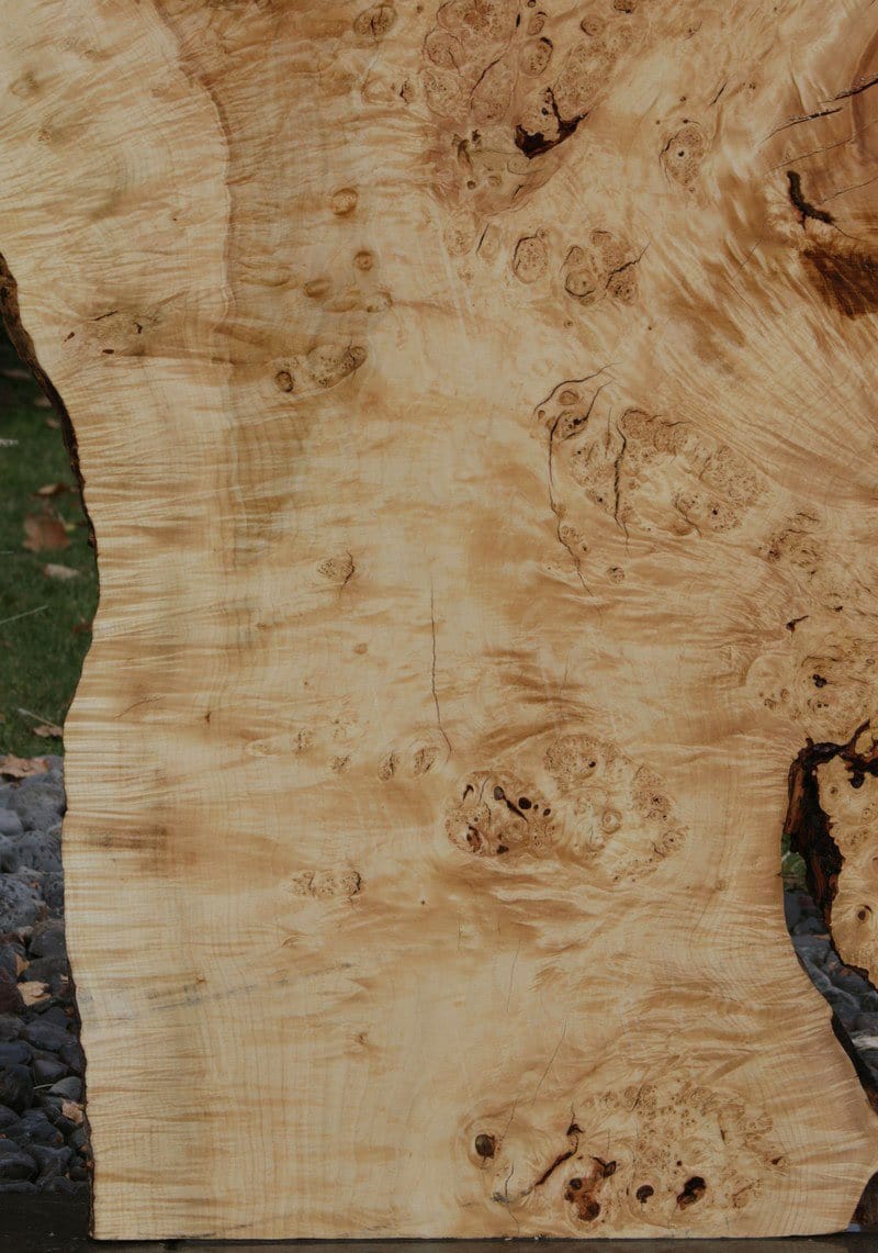 Spalted Silver maple burl live edge slab popular board. Perfect for any epoxy resin project. This board has been kiln dried & planed smooth