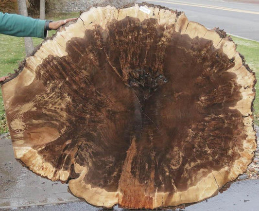 Claro Walnut Burl Cookie (Free Shipping Excluded)