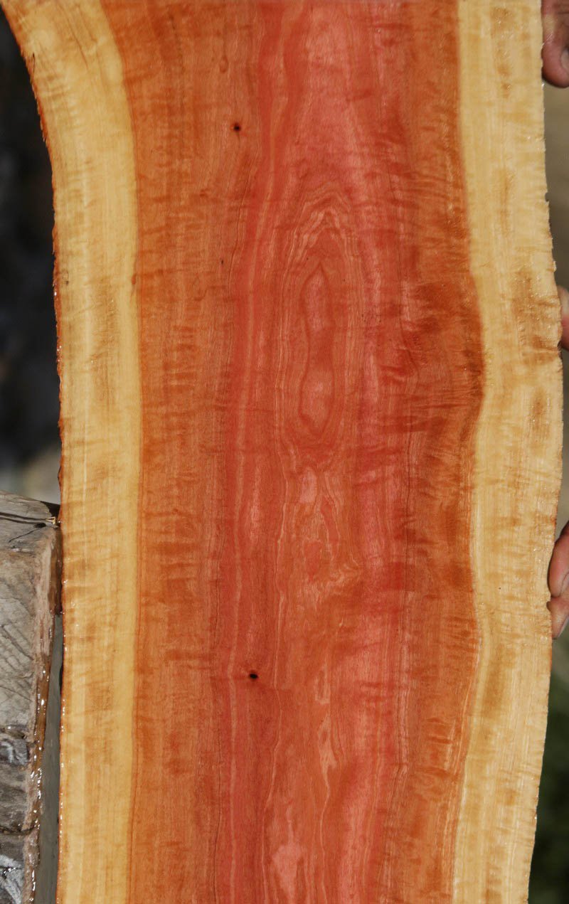 Pink Ivory Live Edge Lumber