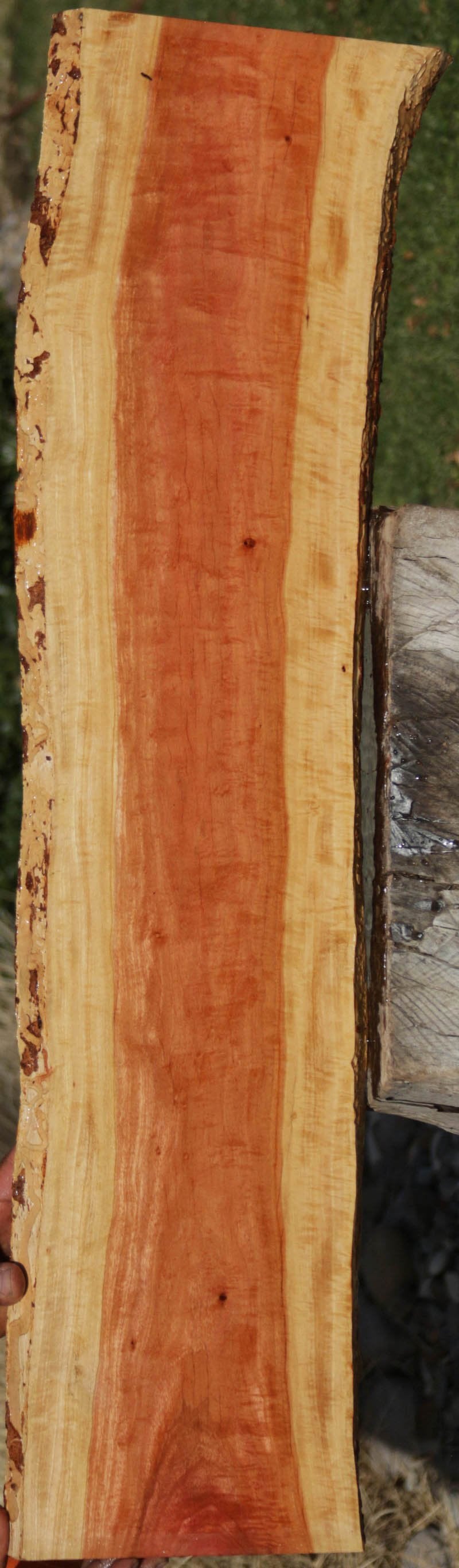 Pink Ivory Live Edge Lumber