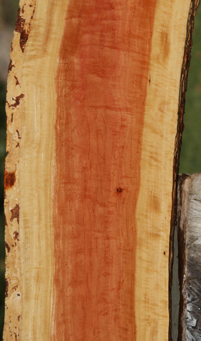 Pink Ivory Live Edge Lumber