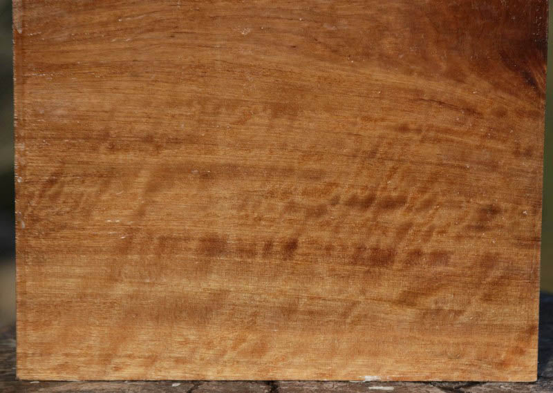 Curly Asian Satinwood Bowl Blank