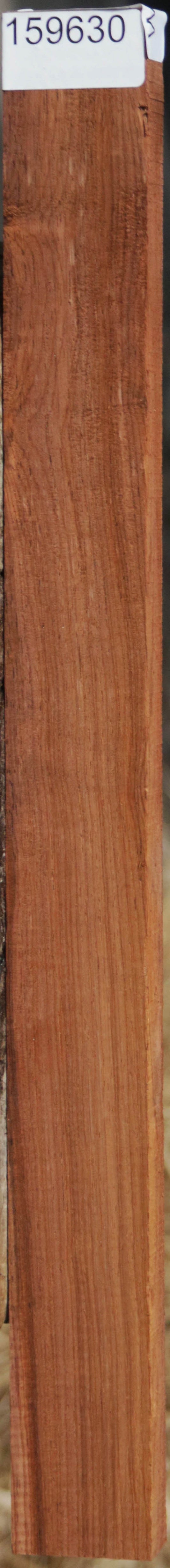 Panama Rosewood