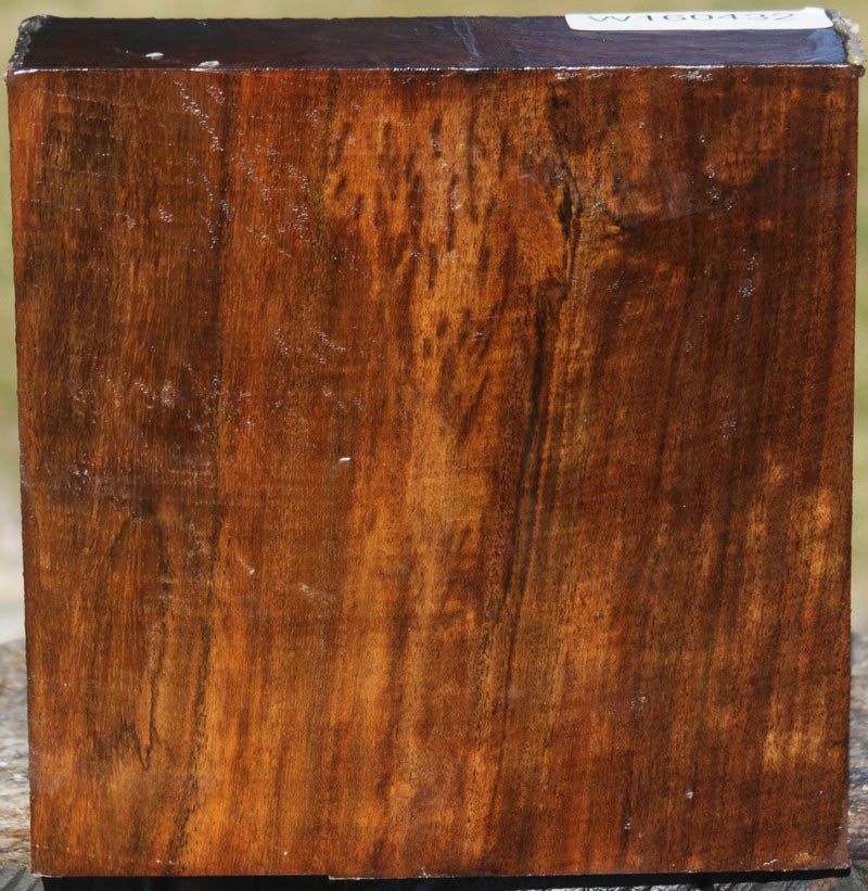 Bocote – Cook Woods