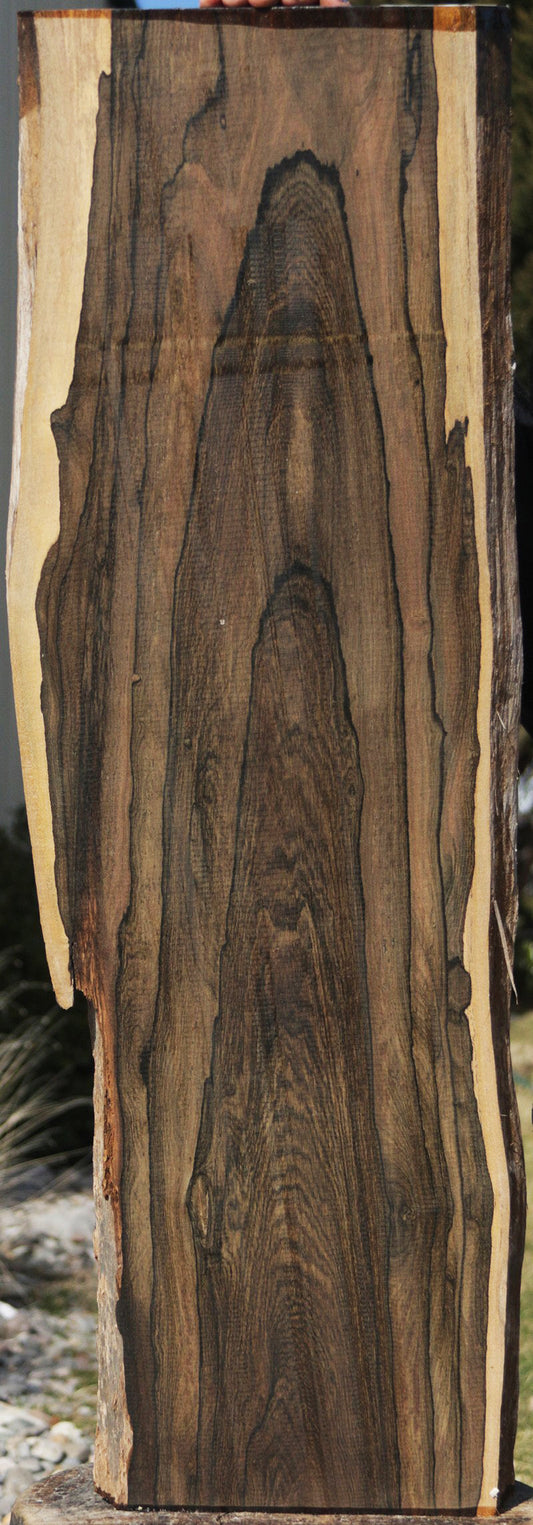 Fancy Ziricote Live Edge Lumber